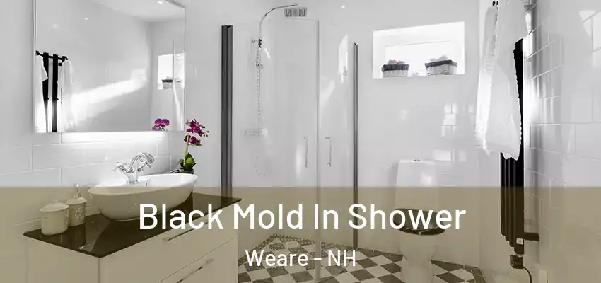  Black Mold In Shower Weare - NH