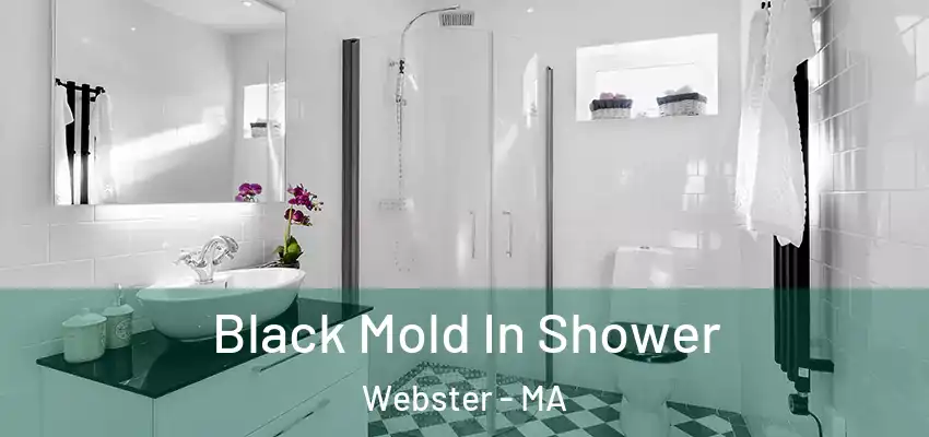Black Mold In Shower Webster - MA