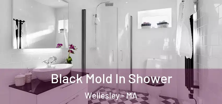  Black Mold In Shower Wellesley - MA