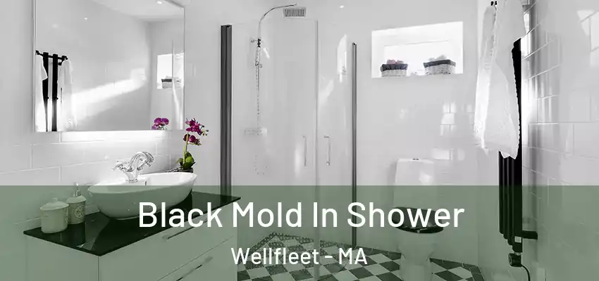  Black Mold In Shower Wellfleet - MA
