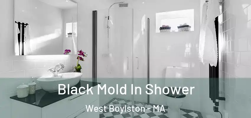 Black Mold In Shower West Boylston - MA