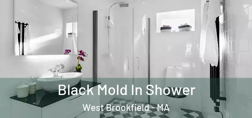  Black Mold In Shower West Brookfield - MA