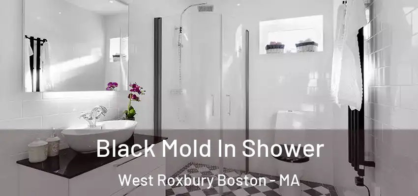  Black Mold In Shower West Roxbury Boston - MA