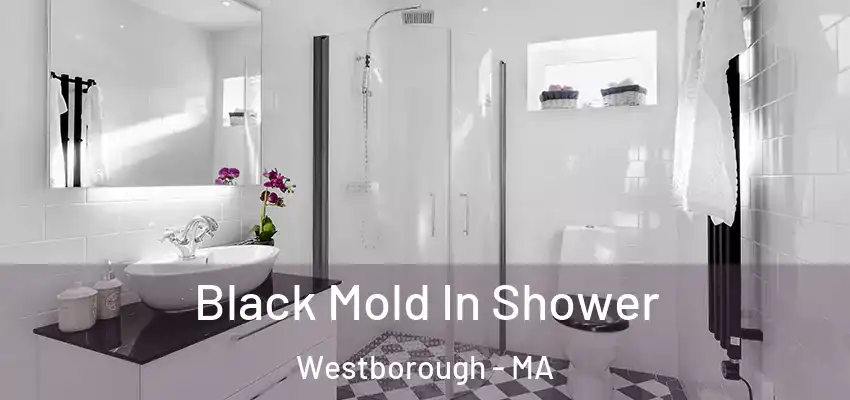 Black Mold In Shower Westborough - MA
