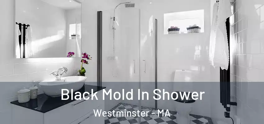 Black Mold In Shower Westminster - MA
