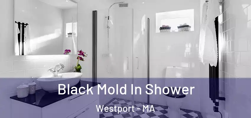  Black Mold In Shower Westport - MA