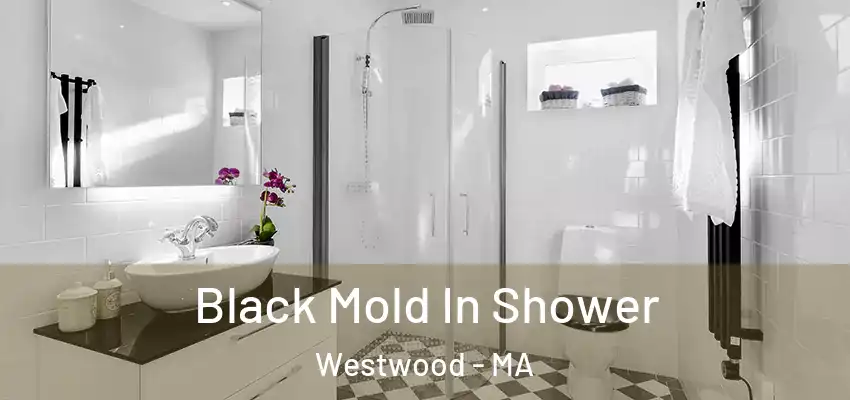 Black Mold In Shower Westwood - MA