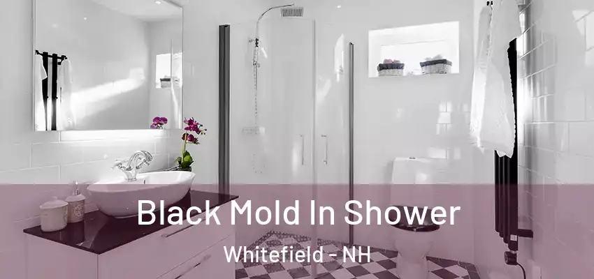 Black Mold In Shower Whitefield - NH