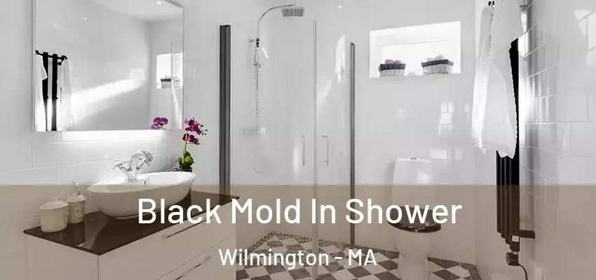  Black Mold In Shower Wilmington - MA