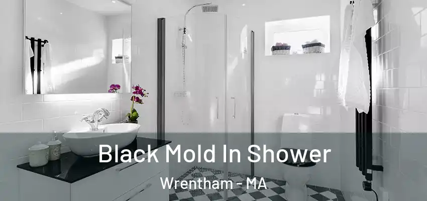  Black Mold In Shower Wrentham - MA