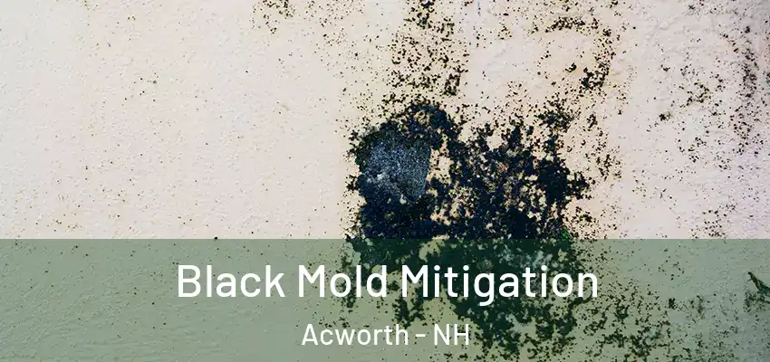 Black Mold Mitigation Acworth - NH