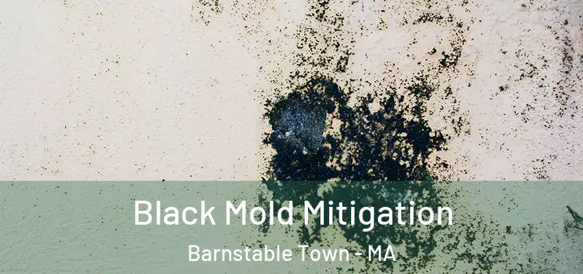 Black Mold Mitigation Barnstable Town - MA