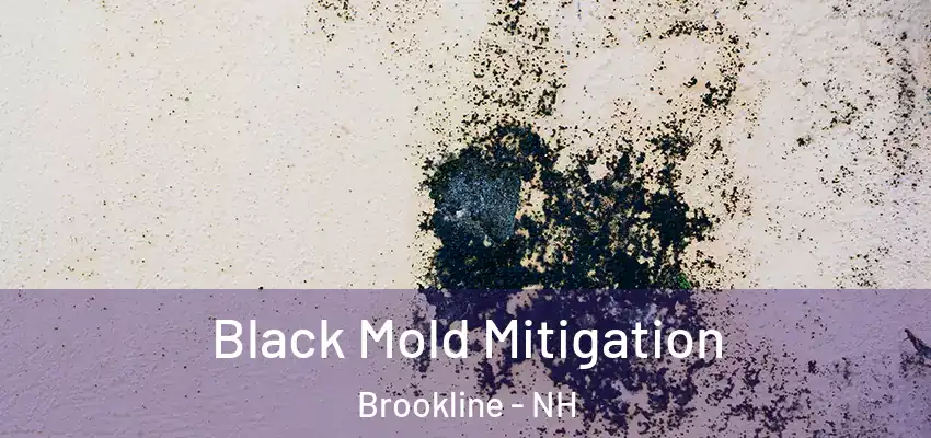 Black Mold Mitigation Brookline - NH
