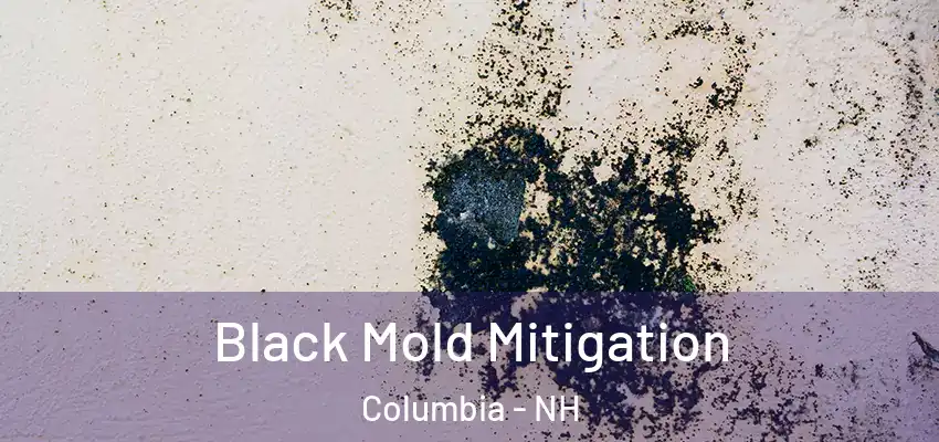  Black Mold Mitigation Columbia - NH