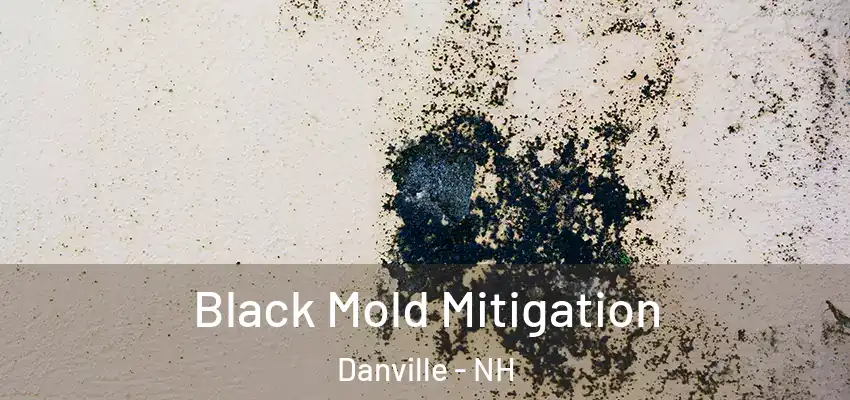 Black Mold Mitigation Danville - NH