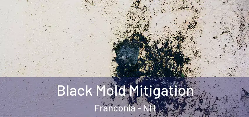  Black Mold Mitigation Franconia - NH