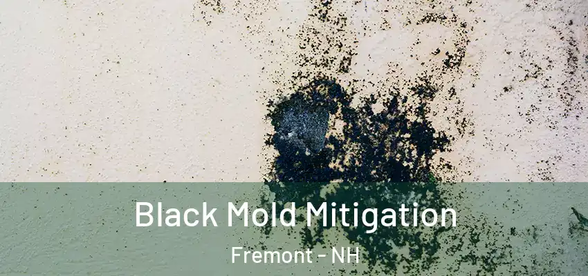  Black Mold Mitigation Fremont - NH