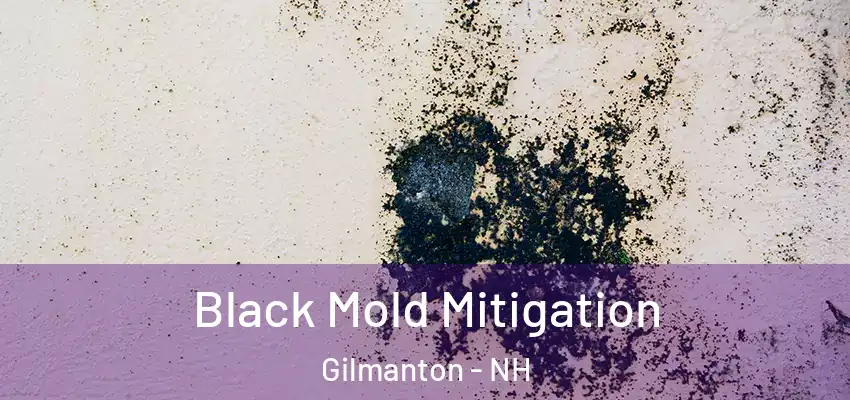 Black Mold Mitigation Gilmanton - NH