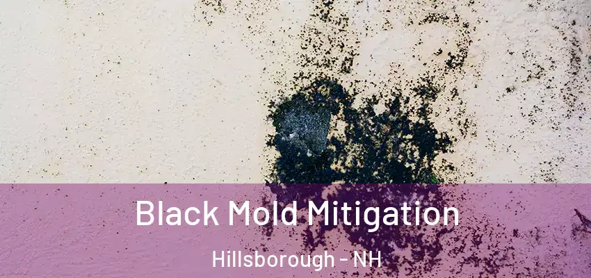 Black Mold Mitigation Hillsborough - NH