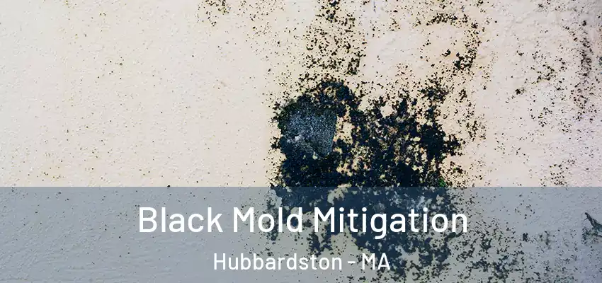 Black Mold Mitigation Hubbardston - MA