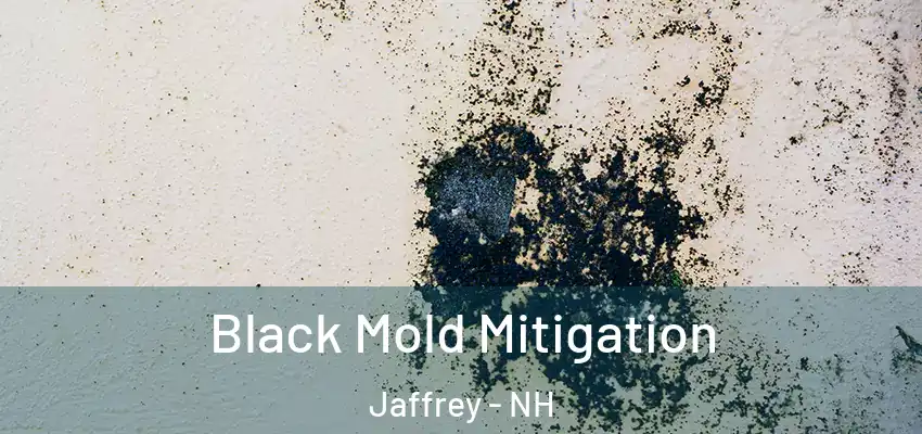 Black Mold Mitigation Jaffrey - NH