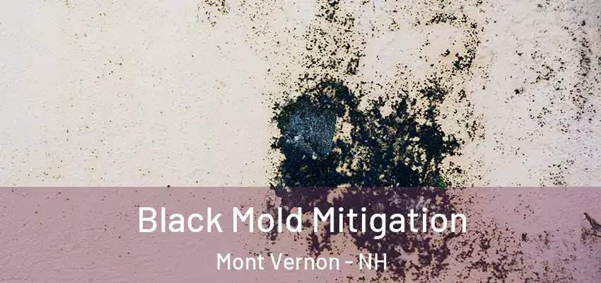 Black Mold Mitigation Mont Vernon - NH