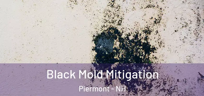 Black Mold Mitigation Piermont - NH
