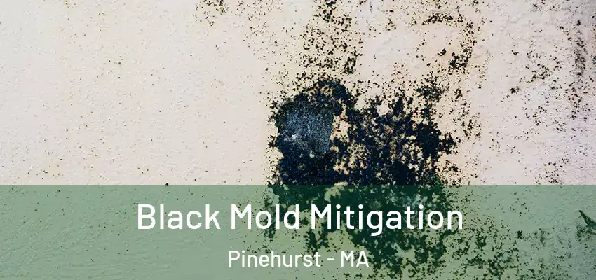 Black Mold Mitigation Pinehurst - MA