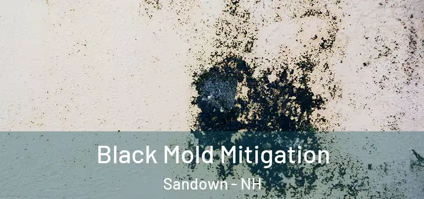 Black Mold Mitigation Sandown - NH