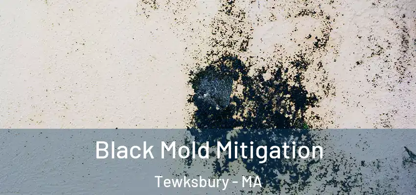  Black Mold Mitigation Tewksbury - MA