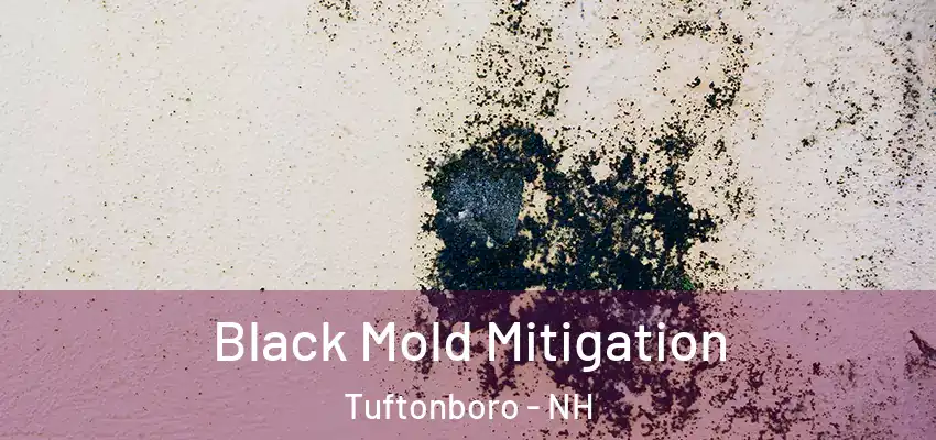 Black Mold Mitigation Tuftonboro - NH
