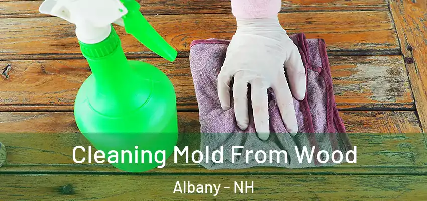  Cleaning Mold From Wood Albany - NH