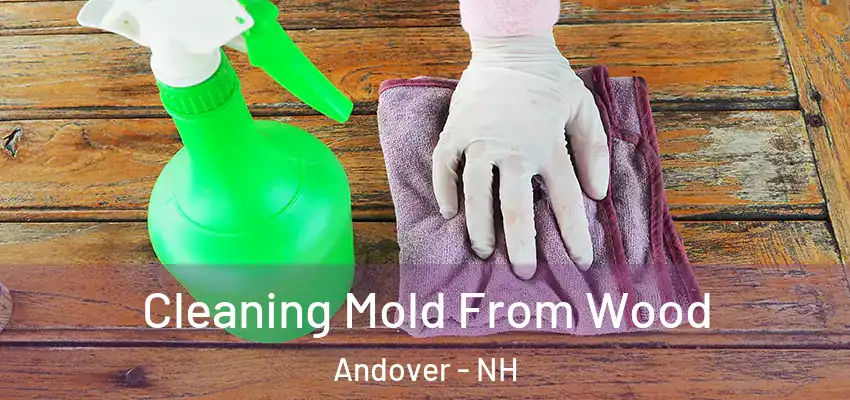 Cleaning Mold From Wood Andover - NH