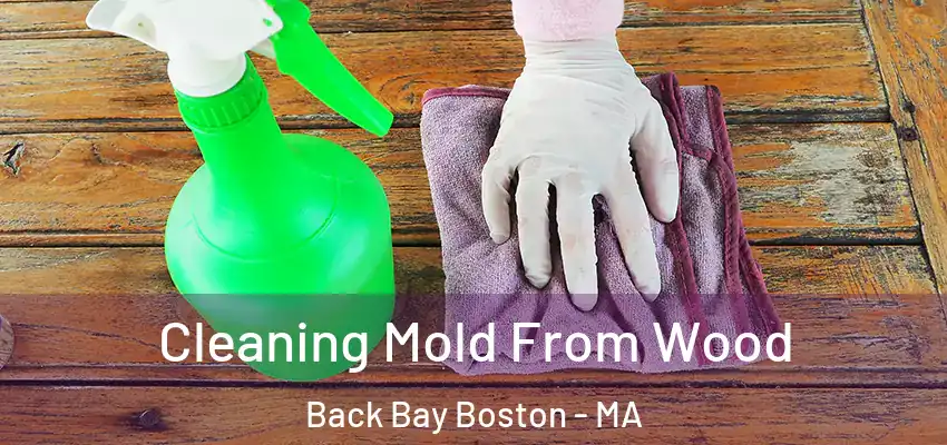 Cleaning Mold From Wood Back Bay Boston - MA