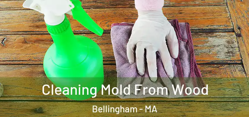Cleaning Mold From Wood Bellingham - MA
