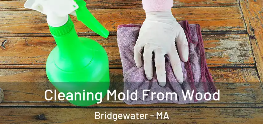 Cleaning Mold From Wood Bridgewater - MA