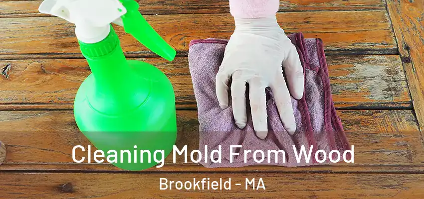 Cleaning Mold From Wood Brookfield - MA