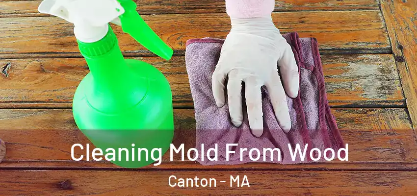 Cleaning Mold From Wood Canton - MA