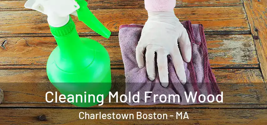 Cleaning Mold From Wood Charlestown Boston - MA