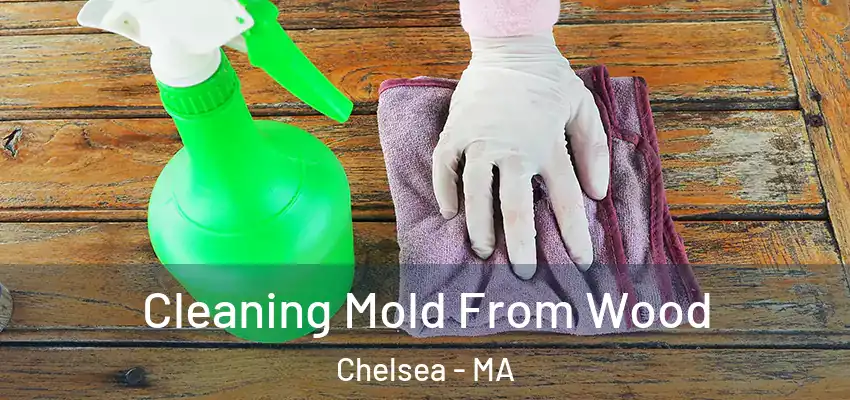  Cleaning Mold From Wood Chelsea - MA