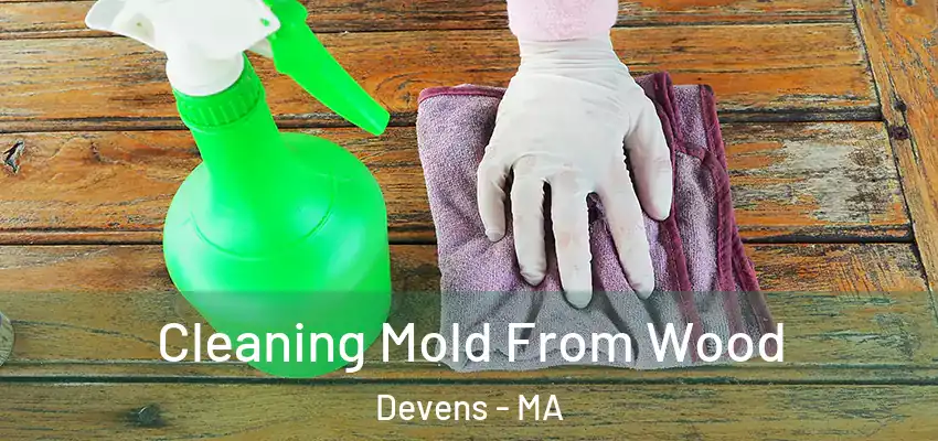 Cleaning Mold From Wood Devens - MA