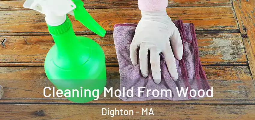  Cleaning Mold From Wood Dighton - MA