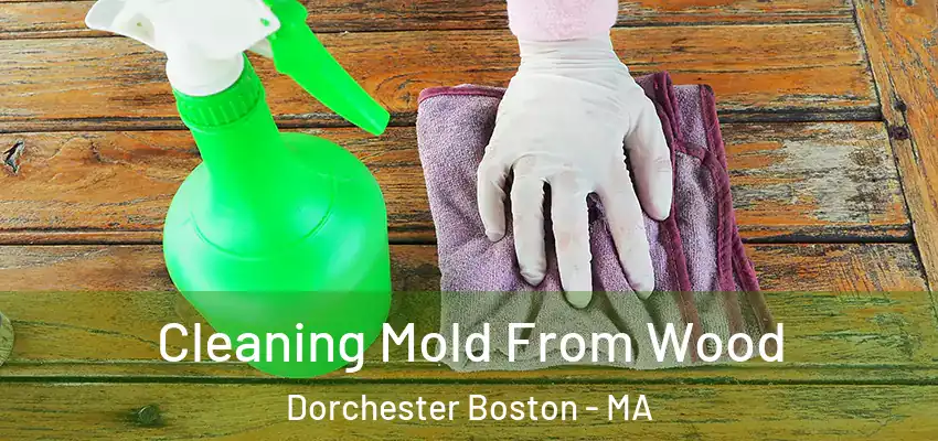 Cleaning Mold From Wood Dorchester Boston - MA