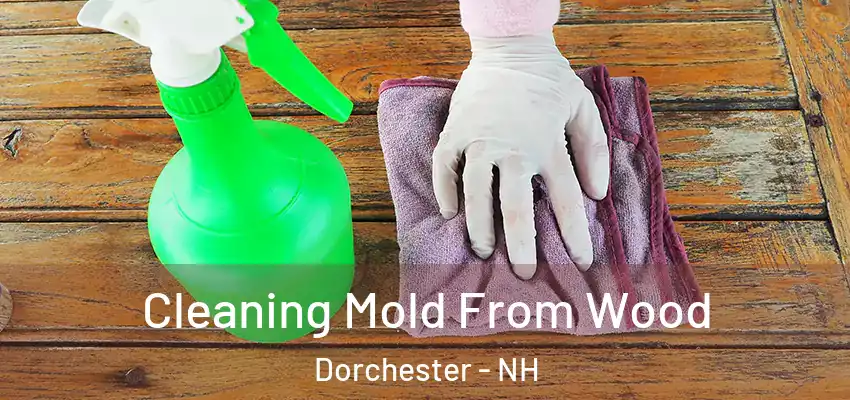  Cleaning Mold From Wood Dorchester - NH