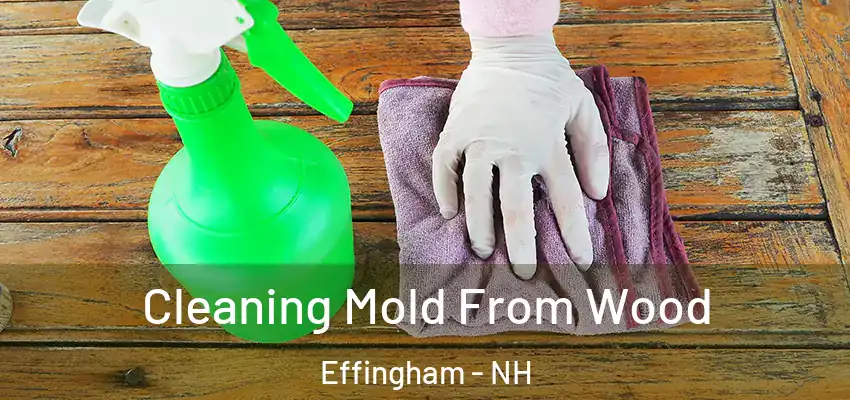  Cleaning Mold From Wood Effingham - NH
