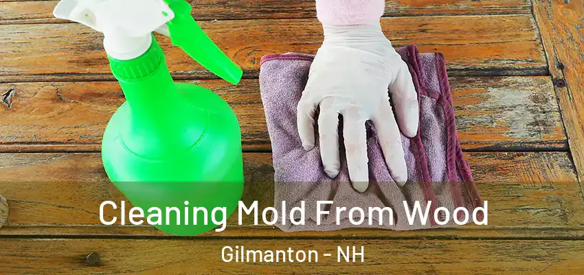 Cleaning Mold From Wood Gilmanton - NH