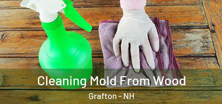  Cleaning Mold From Wood Grafton - NH