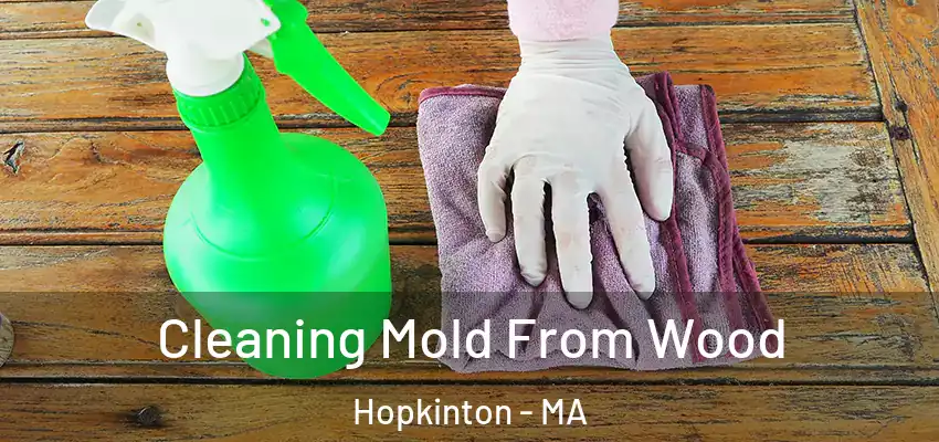  Cleaning Mold From Wood Hopkinton - MA