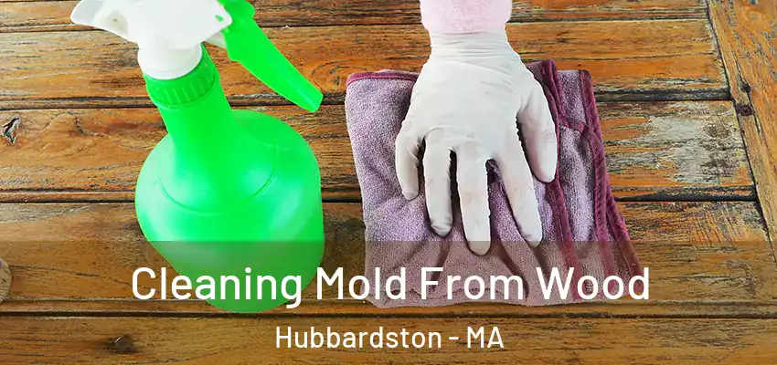  Cleaning Mold From Wood Hubbardston - MA