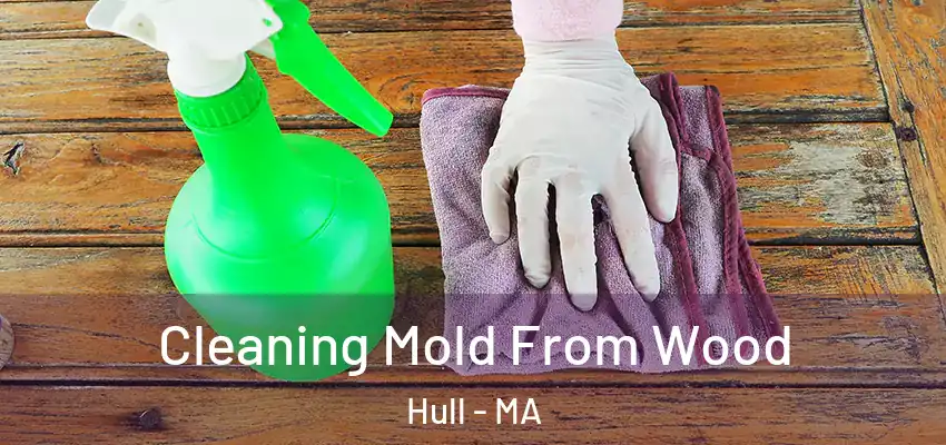 Cleaning Mold From Wood Hull - MA